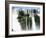 Iguassu Falls, Iguazu National Park, Unesco World Heritage Site, Argentina, South America-Jane Sweeney-Framed Photographic Print