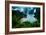 Iguassu Falls, the Largest Series of Waterfalls of the World, View from Brazilian Side-Curioso Travel Photography-Framed Photographic Print