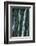 Iguazu Falls, Argentina-David Wall-Framed Photographic Print