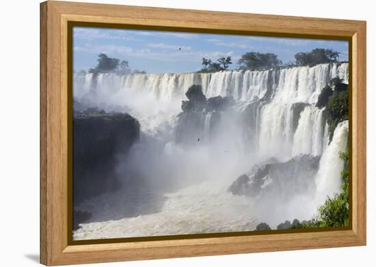 Iguazu Falls, Argentinian Side, Argentina-Peter Groenendijk-Framed Premier Image Canvas