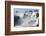 Iguazu Falls, Argentinian Side, Argentina-Peter Groenendijk-Framed Photographic Print