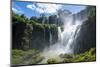 Iguazu Falls, Foz De Iguazu, Argentina-Michael Runkel-Mounted Photographic Print