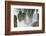 Iguazu Falls from Argentinian side, UNESCO World Heritage Site, on border of Argentina and Brazil, -G&M Therin-Weise-Framed Photographic Print