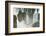 Iguazu Falls from Argentinian side, UNESCO World Heritage Site, on border of Argentina and Brazil, -G&M Therin-Weise-Framed Photographic Print