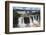 Iguazu Falls (Iguacu Falls) (Cataratas Del Iguazu), Border of Brazil Argentina and Paraguay-Matthew Williams-Ellis-Framed Photographic Print