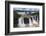 Iguazu Falls (Iguacu Falls) (Cataratas Del Iguazu), Border of Brazil Argentina and Paraguay-Matthew Williams-Ellis-Framed Photographic Print