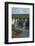 Iguazu Falls on Argentina side and tourist boat on Iguazu River, Brazil and Argentina border-David Wall-Framed Photographic Print