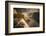 Iguazu Falls Waterfall at Sunset-Alex Saberi-Framed Photographic Print