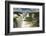 Iguazu Falls-Neale Cousland-Framed Photographic Print