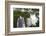 Iguazu Falls-luiz rocha-Framed Photographic Print