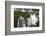 Iguazu Falls-luiz rocha-Framed Photographic Print