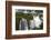 Iguazu Falls-luiz rocha-Framed Photographic Print