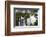 Iguazu Falls-luiz rocha-Framed Photographic Print