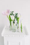 Tulips in Bottles on White Background Studio-Ihor Kopakov-Mounted Photographic Print