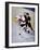 Iice Hockey Players in Action-null-Framed Photographic Print