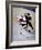 Iice Hockey Players in Action-null-Framed Photographic Print