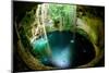 Ik-Kil Cenote, Chichen Itza, Mexico-Subbotina Anna-Mounted Photographic Print