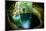 Ik-Kil Cenote, Chichen Itza, Mexico-Subbotina Anna-Mounted Photographic Print