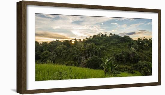 Ikalalao Jungle-jalvarezg-Framed Photographic Print