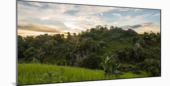 Ikalalao Jungle-jalvarezg-Mounted Photographic Print