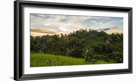 Ikalalao Jungle-jalvarezg-Framed Photographic Print