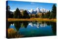 Stretched Canvas Print