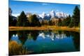 Premium Photographic Print