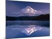 Premium Photographic Print
