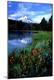 Photographic Print