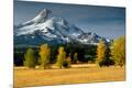 Photographic Print
