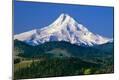 Premium Photographic Print