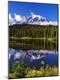 Photographic Print