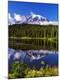 Photographic Print