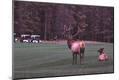 Premium Photographic Print
