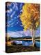 Stretched Canvas Print