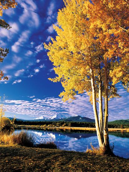 Photographic Print, , large