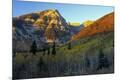 Photographic Print