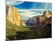 Photographic Print