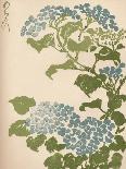 'Hydrangea', 1838-Ikeda Eisen-Giclee Print