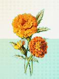 Marigold Yellow-null-Art Print