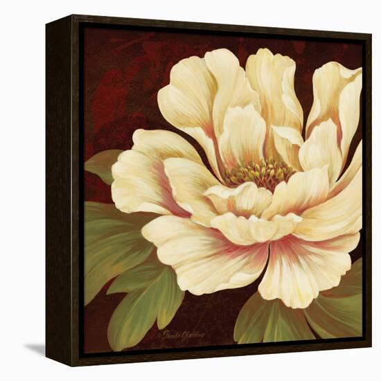 Il Ballo Maronne I-Pamela Gladding-Framed Stretched Canvas