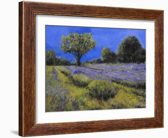 Il Campo Di Lavanda-Guido Borelli-Framed Giclee Print