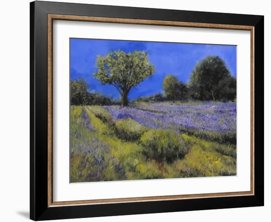 Il Campo Di Lavanda-Guido Borelli-Framed Giclee Print