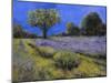 Il Campo Di Lavanda-Guido Borelli-Mounted Giclee Print