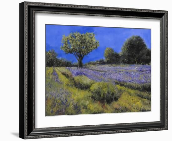 Il Campo Di Lavanda-Guido Borelli-Framed Giclee Print