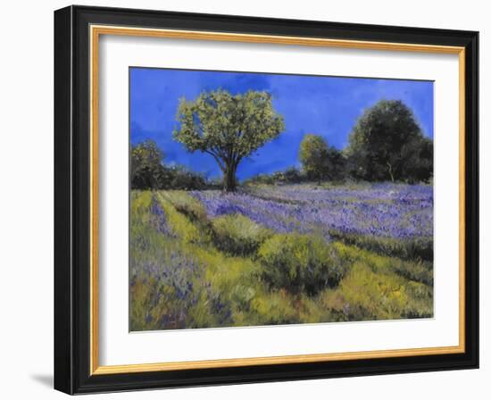 Il Campo Di Lavanda-Guido Borelli-Framed Giclee Print