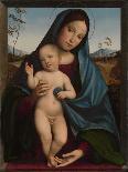 Madonna and Child with Two Angels, c.1495-1500-Il Francia-Giclee Print