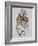 Il Leopardo No.I-Gabriella Roberg-Framed Photographic Print