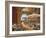 Il Mercato Sotto i Portici-Guido Borelli-Framed Giclee Print