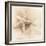 Il Oceano No. 1-Alan Blaustein-Framed Photographic Print